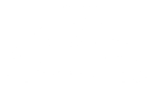 Arctic Moto 